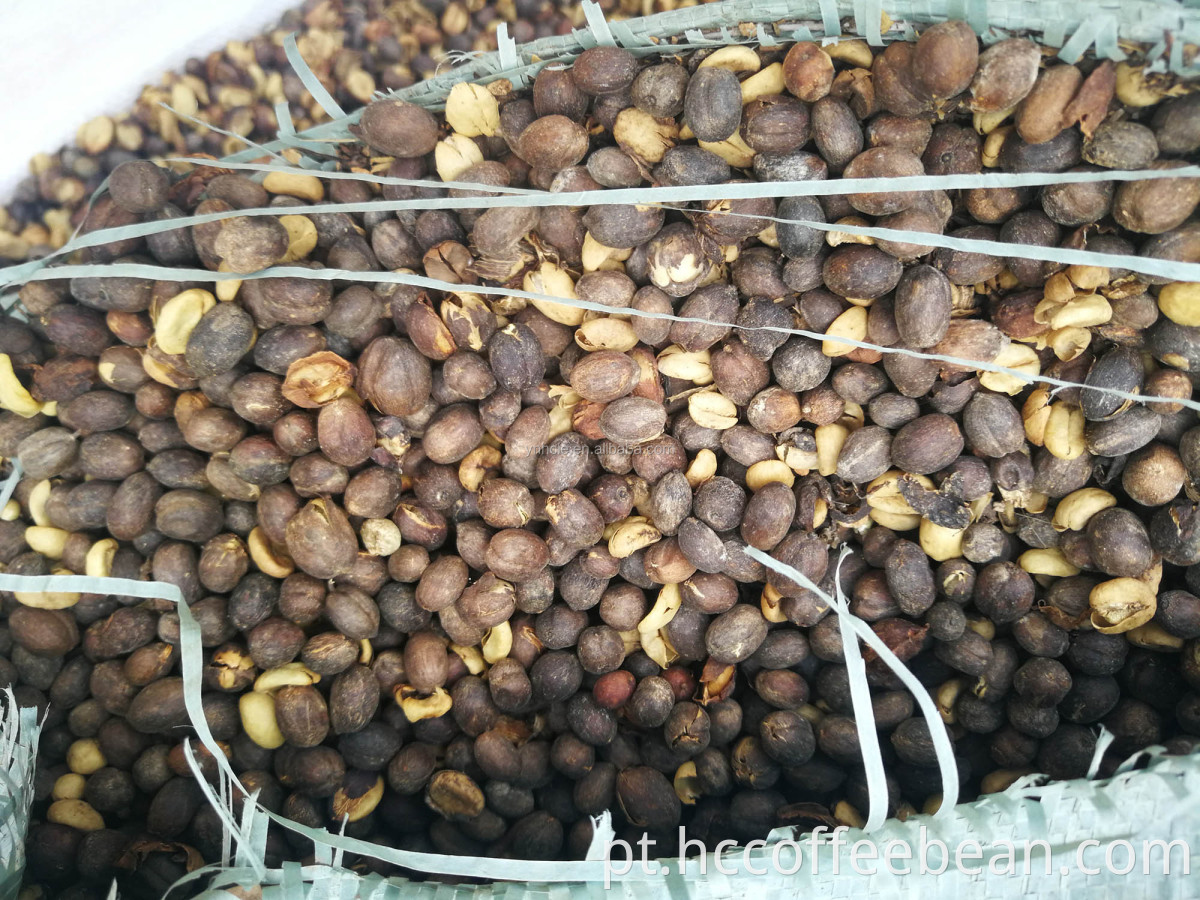 Café preto chinês, grãos de café com casca, com café com casca